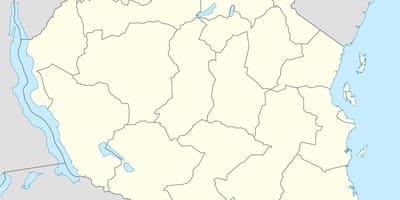 Картица вектор Танзанији 